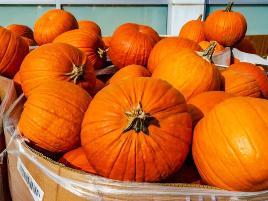 Halloween Games That Bring the Fun to Your Playground