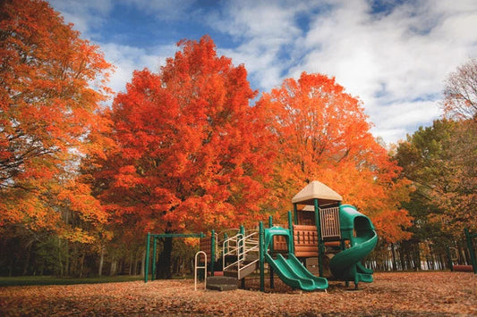 Why Fall Is the Perfect Time for a Playground